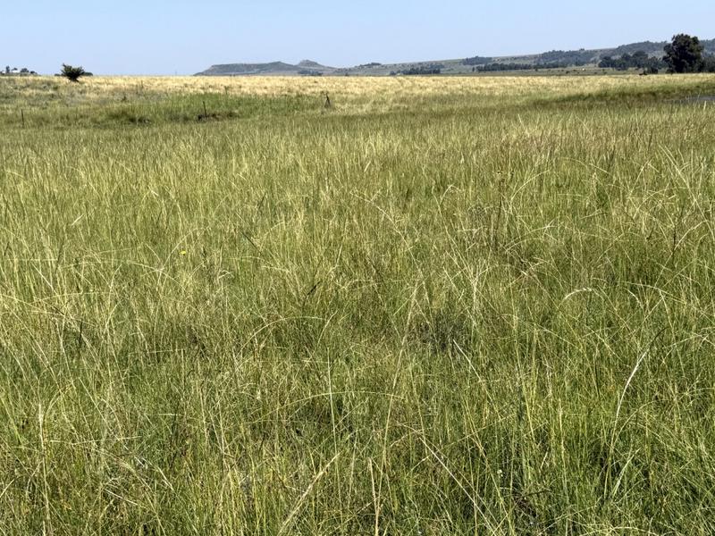 0 Bedroom Property for Sale in Bethlehem Rural Free State